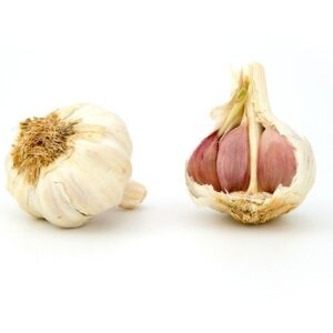 Buy Fresh Garlic